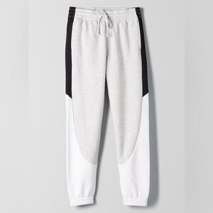 Aritzia Jogger Pants